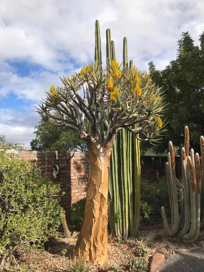 Pane Vivente Garden Cottage Beaufort West Luaran gambar