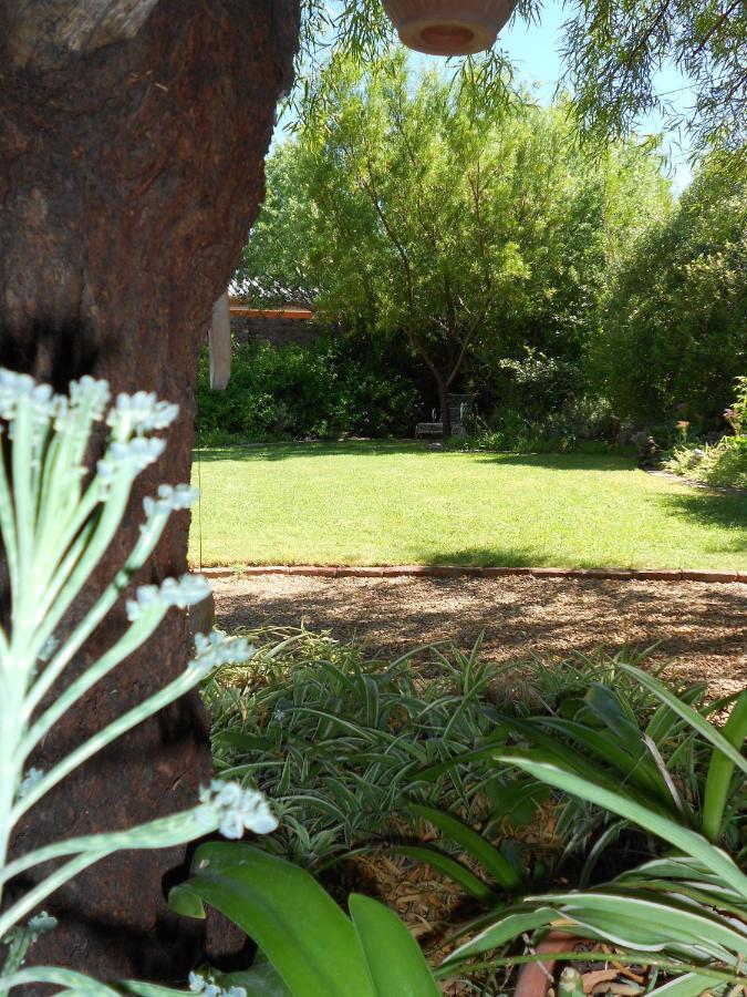 Pane Vivente Garden Cottage Beaufort West Luaran gambar