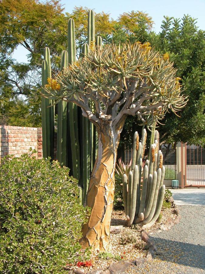 Pane Vivente Garden Cottage Beaufort West Luaran gambar