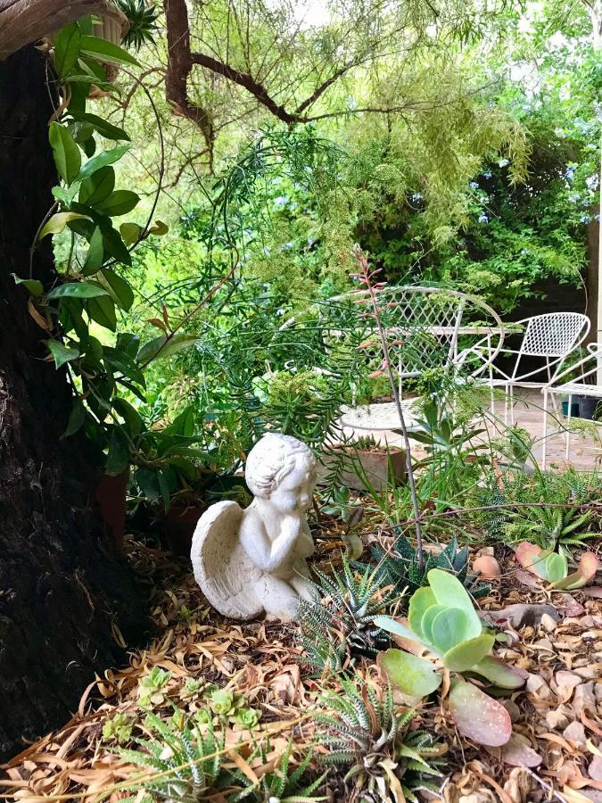 Pane Vivente Garden Cottage Beaufort West Luaran gambar